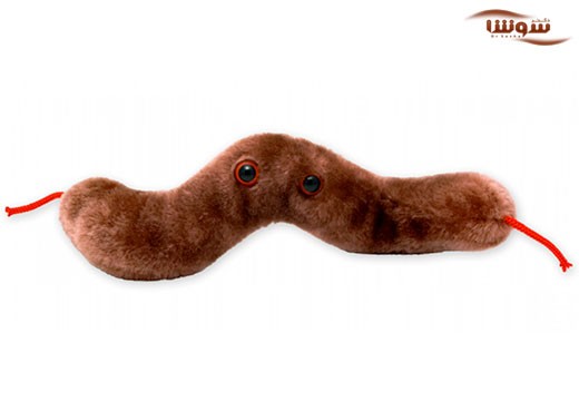 اسهال (Diarrhea)