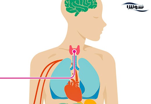 کم کاری تیروئید | هیپوتیروئیدی (Hypothyroidism)