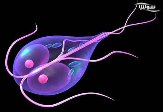آلودگی به انگل ژیاردیا | ژیاردیازیس (Giardiasis)