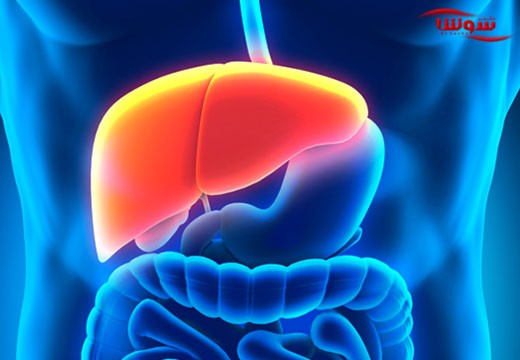 نارسایی حاد کبدی | نارسایی کبد برقآسا (Acute liver failure)
