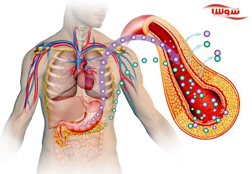 دیابت (Diabetes)