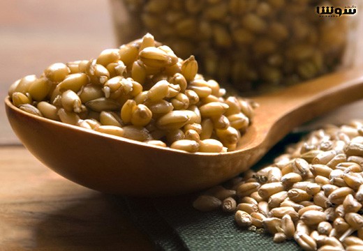 پودر جوانه گندم برای چاقی