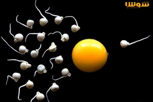 مصرف آجیل به تقویت اسپرم مردان کمک میکند