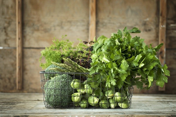 خرید آنلاین محلول ضد عفونی کننده سبزیجات4