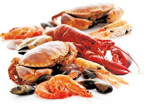 غذاهای دریایی از مهم‌ترین خوردنی های غیر مجاز - دکتر سوشا