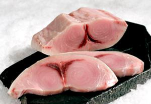 مصرف گوشت کوسه ماهی ، نیزه ماهی و اره ماهی