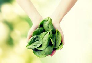 خوردن سبزیجات سبز - دکتر سوشا