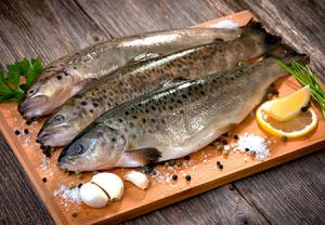نقش مصرف ماهی در پیشگیری از بروز آکنه و سلامت پوست - دکتر سوشا