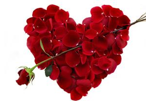 گل رز برای خانم‌ها در روز ولنتاین