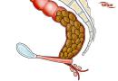 یبوست (Constipation)