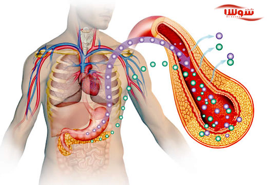 دیابت (Diabetes) دیابت (Diabetes)