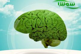 کدام مواد غذایی برای پیشگیری از بیماری آلزایمر مناسب هستند؟