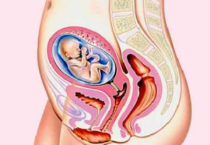 تغییرات فیزیکی زنان باردار در ماه چهارم بارداری