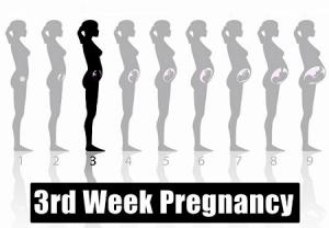 زن باردار در هفته سوم بارداری
