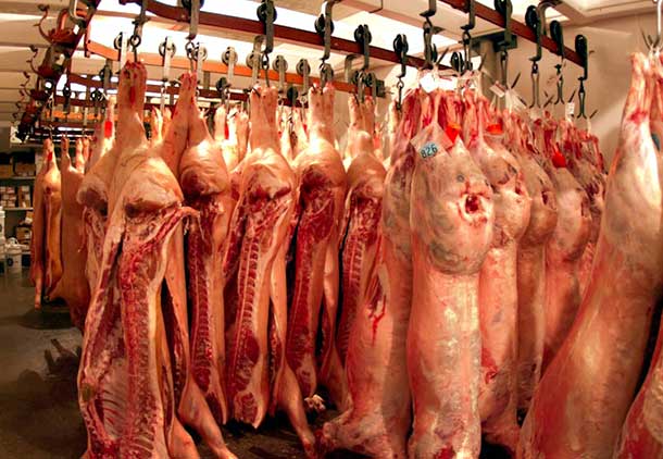 کشتن دام نذری | چگونه گوشت نذری سالمی تهیه کنیم؟