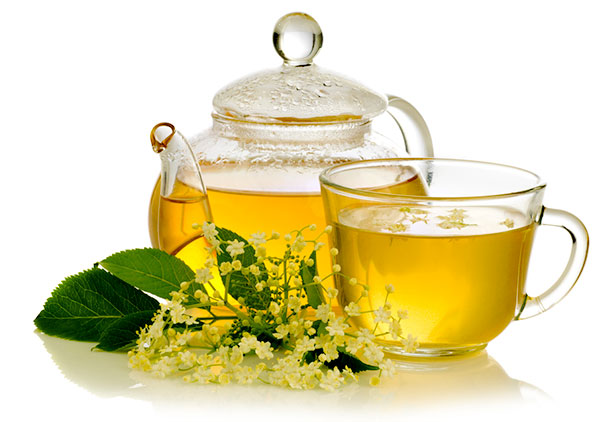 درمان لاغري مفرط با گیاهی قاصدک