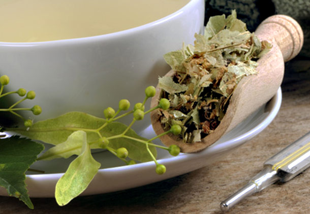 راه درمان لاغری مفرط با گیاه ژنتیان زرد