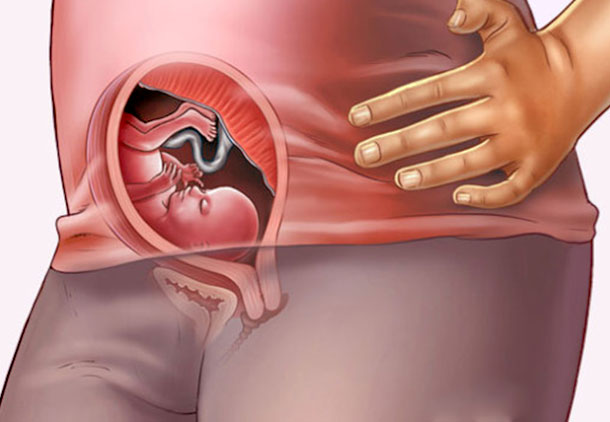 تغییرات اندام تناسلی جنین در هفته هجدهم بارداری