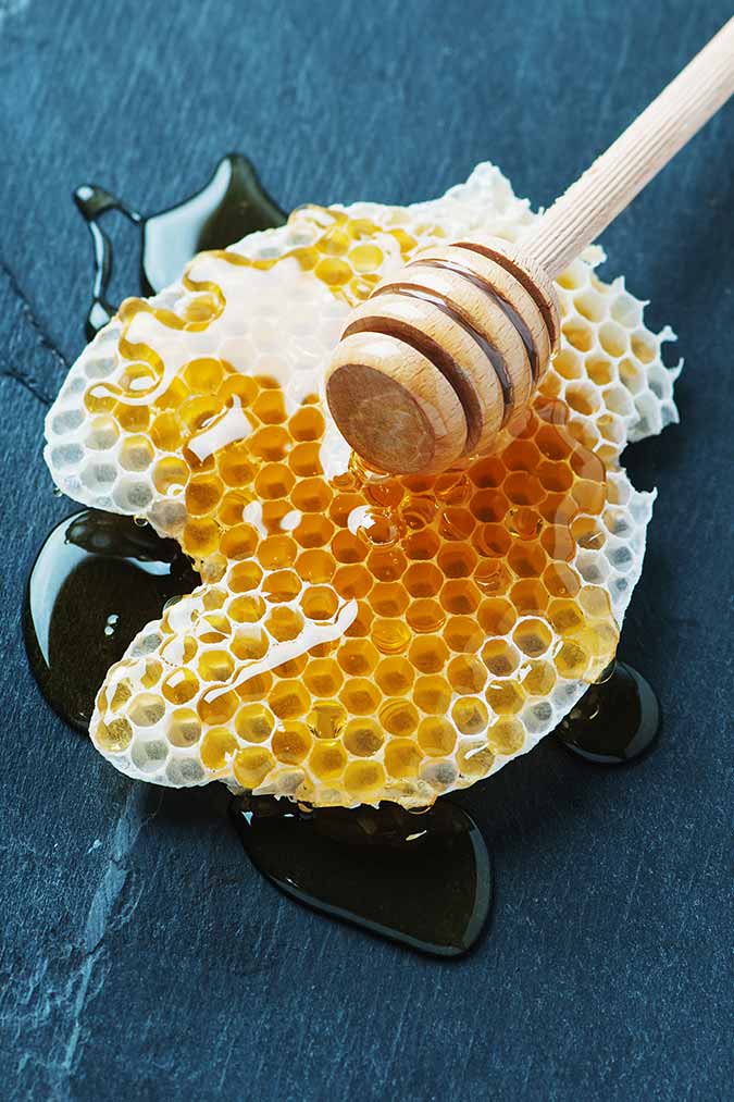 قرمزی جای نیش پشه : استفاده از عسل برای درمان قرمزی جای نیش پشه