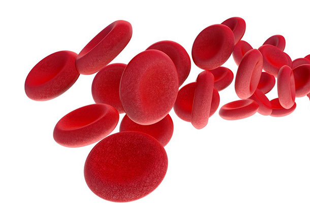 تعیین اندازه و شکل سلول‌های قرمز خون