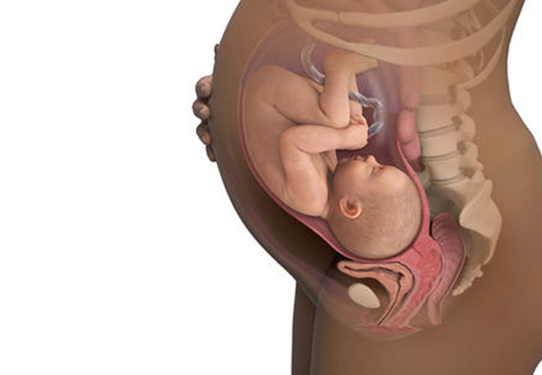 هفته سی و هشتم بارداری : ترک‌های پوستی در هفته سی و هشتم بارداری