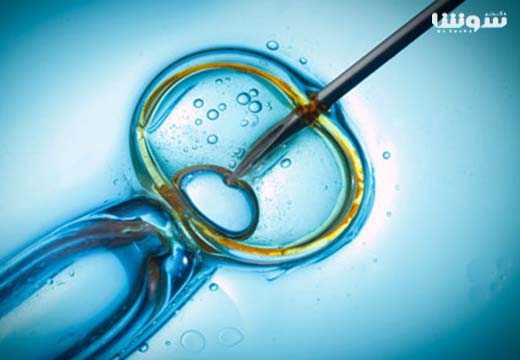 همه چیز درباره لقاح خارج رحمی (IVF) و مراکز درمانی ivf ( آی وی اف) همه چیز درباره لقاح خارج رحمی (IVF) و مراکز درمانی ivf ( آی وی اف)
