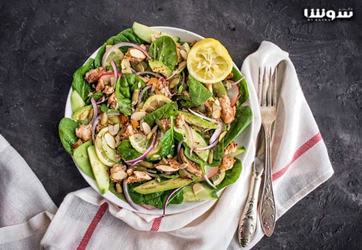 رژیم غذایی اتکینز + فهرست رژیم های غذایی معروف دنیا رژیم غذایی اتکینز + فهرست رژیم های غذایی معروف دنیا