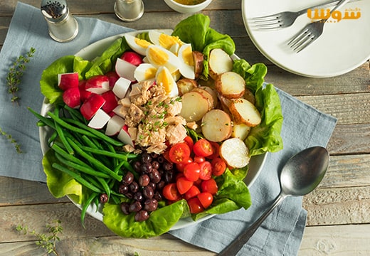 رژیم غذایی مک دوگال + فهرست رژیم های غذایی معروف دنیا رژیم غذایی مک دوگال + فهرست رژیم های غذایی معروف دنیا