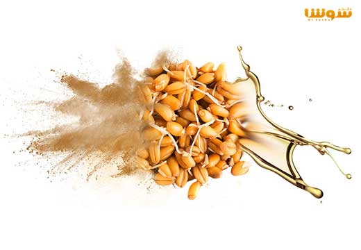 پودر جوانه گندم (جوانه گندم برای چاقی بهترین انتخاب است) پودر جوانه گندم (جوانه گندم برای چاقی بهترین انتخاب است)