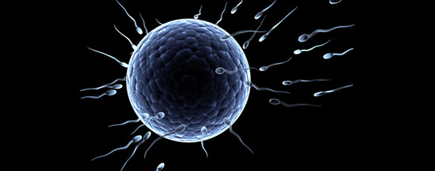 آزمایش اسپرم : کاهش تحرک اسپرم