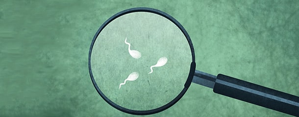 آزمایش اسپرم : مورفولوژی اسپرم چیست