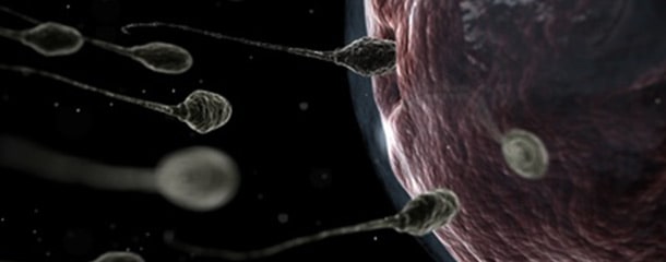 آزمایش اسپرم : تحرک اسپرم در تفسیر آزمایش اسپرم