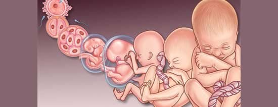 آزمایش غربالگری در سه ماهه اول بارداری : آیا عوامل خاصی نتیجه آزمایش را تحت تاثیر قرار می‌دهد؟