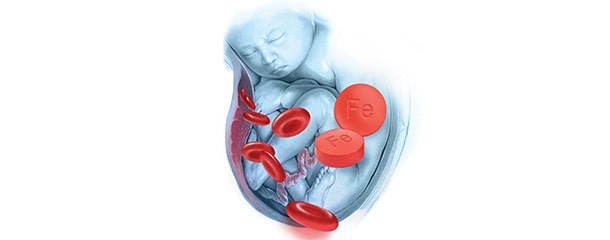 کم خونی در بارداری : درمان کم خونی در بارداری با طب سنتی