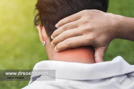 ورزش برای گردن درد ( ورزش ناحیه مهره گردنی C1 تا C8) ورزش برای گردن درد ( ورزش ناحیه مهره گردنی C1 تا C8)